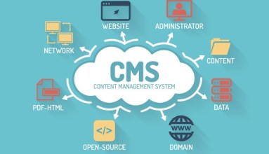 CMS Nedir? CMS Ne İşe Yarar?