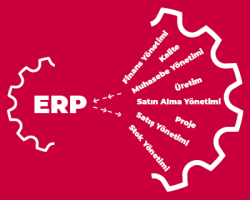 Logo Kurumsal Kaynak Planlama Nedir?