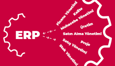 Logo Kurumsal Kaynak Planlama Nedir?