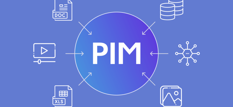 PIM Nedir? PIM Ne İşe Yarar?